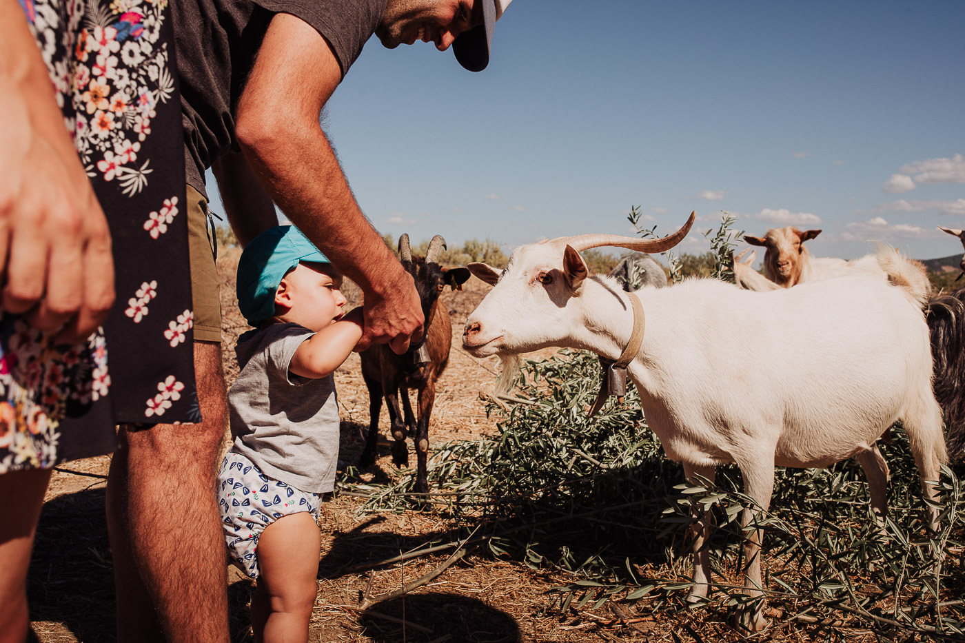 fotografia-documental-de-familia-documentary-family-photography-porto-peredo-dos-castelhanos