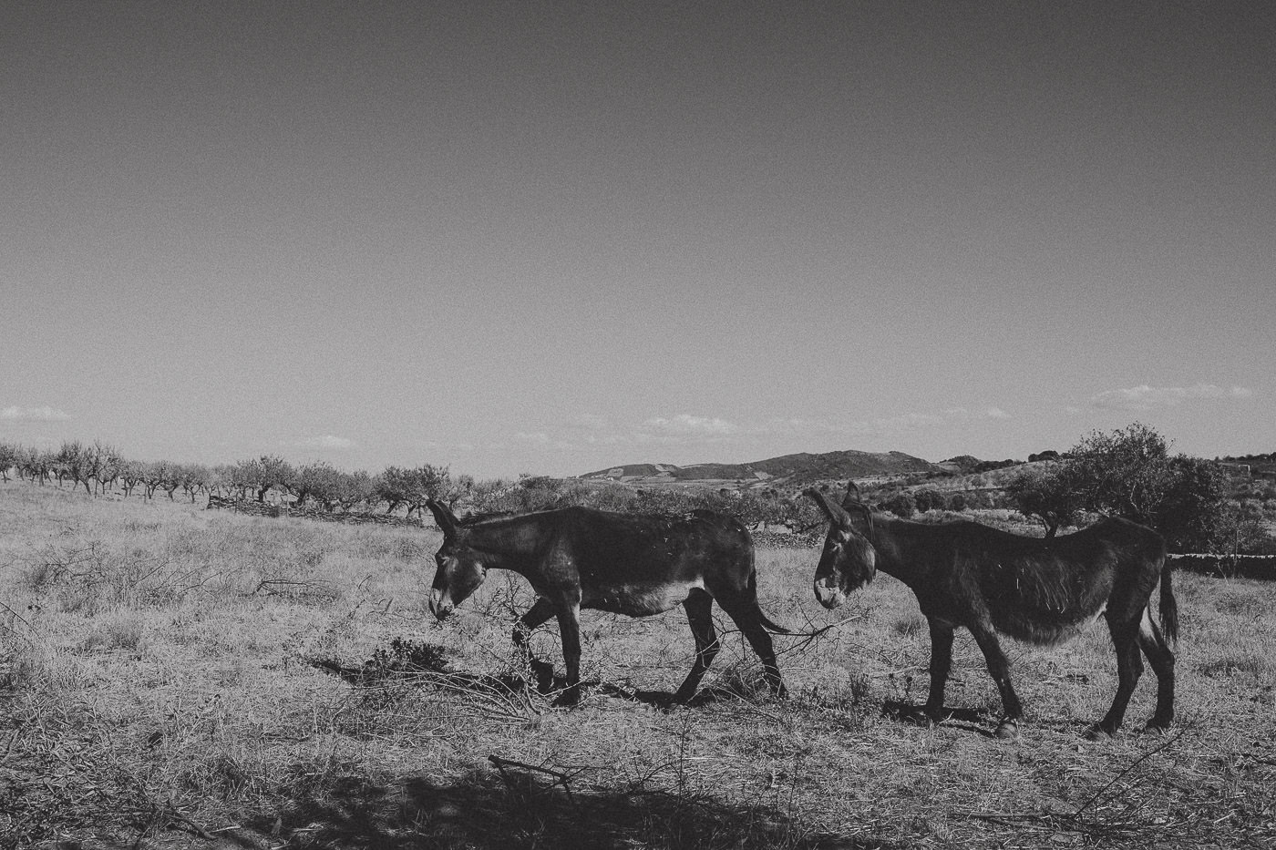 fotografia-documental-de-familia-documentary-family-photography-porto-peredo-dos-castelhanos